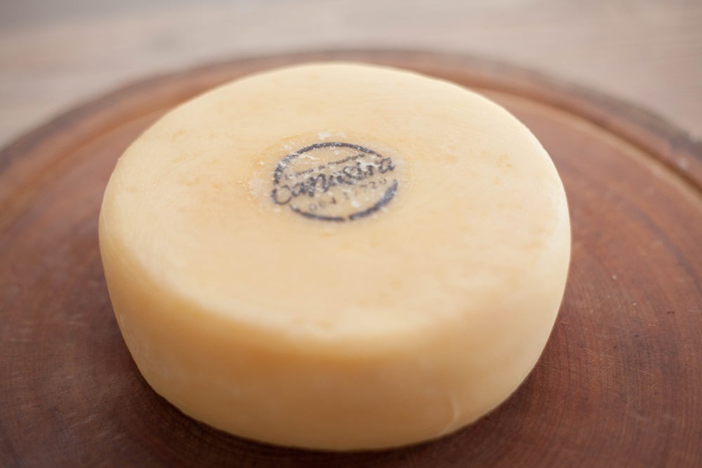 QUEIJO DO REINALDO PREMIADO OURO - QUEIJO CANASTRA TRADICIONAL - 1 KG 6
