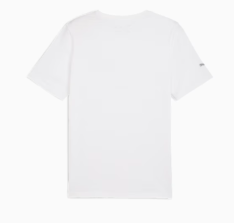 Camiseta BMW M Motorsport Essentials 2