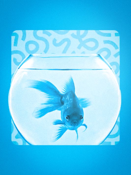 Peixe