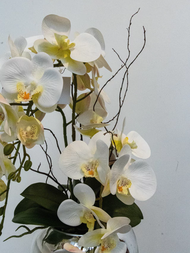 Arranjo Orquídeas Stellar 3