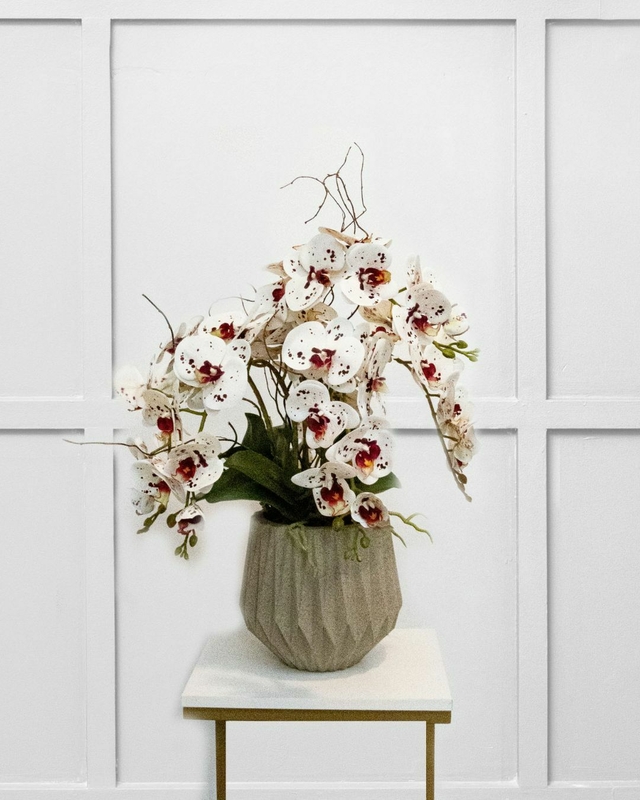 Arranjo Orquídeas Geometric 1