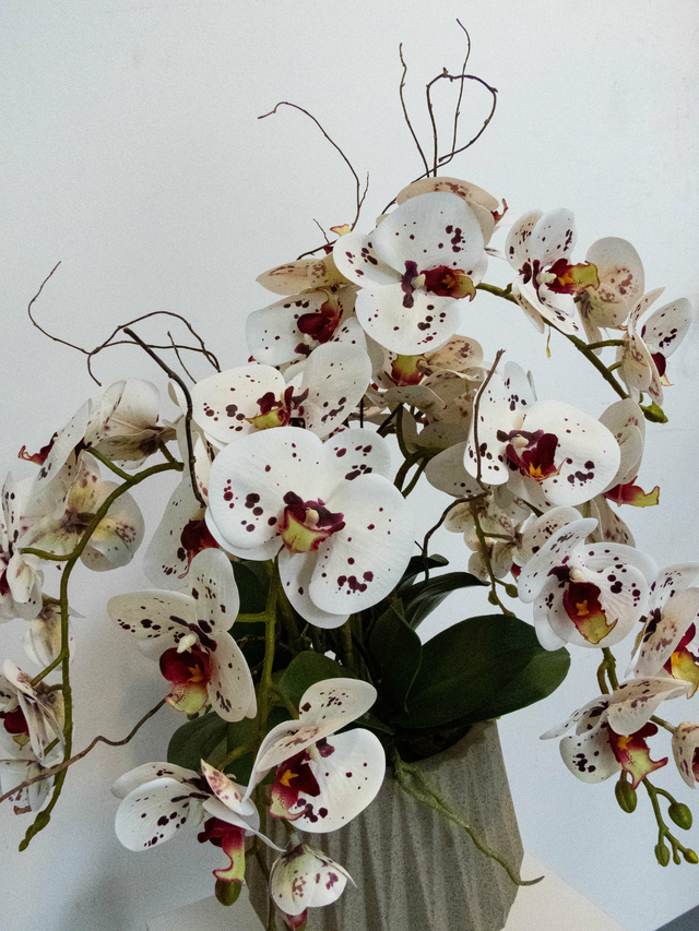 Arranjo Orquídeas Geometric 2