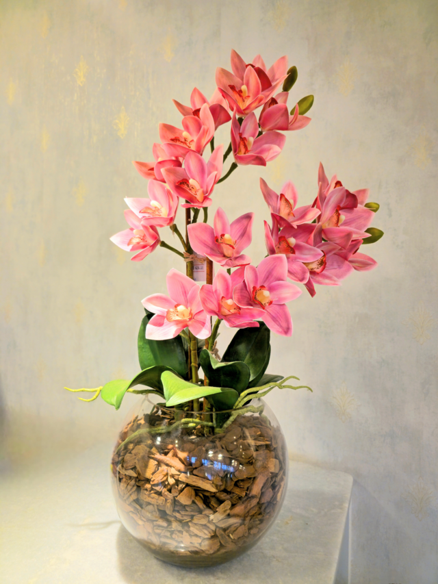 Arranjo Orquídeas Cymbidium Aquarium 1