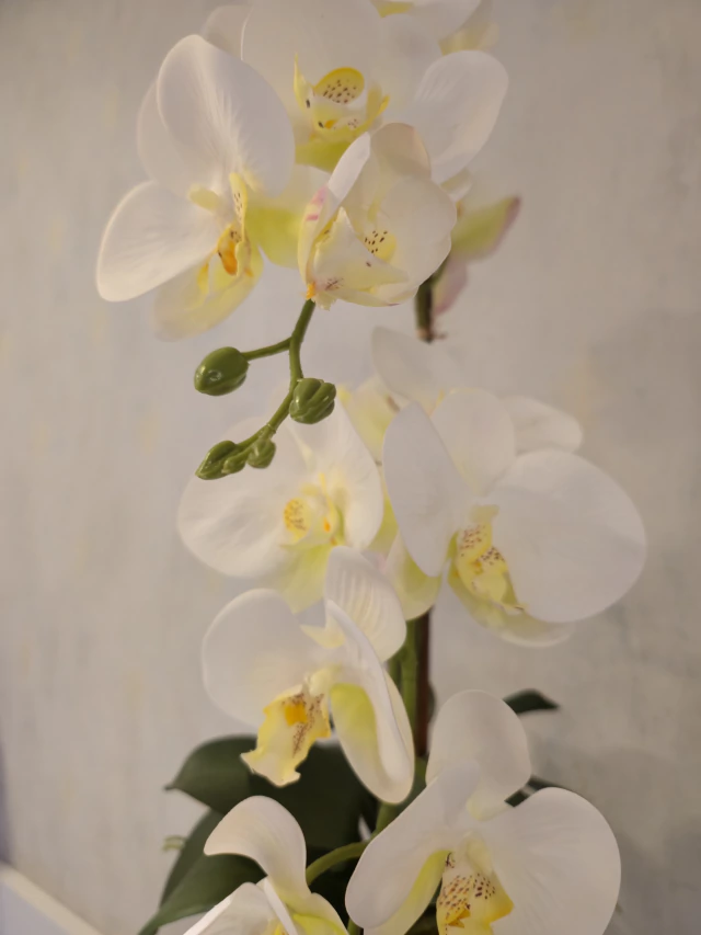 ARRANJO DE ORQUÍDEAS ATHENA (BRANCO) 2