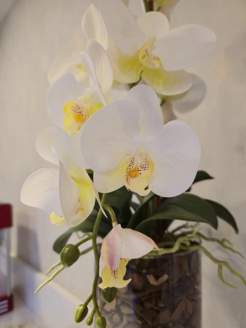 ARRANJO DE ORQUÍDEAS ATHENA (BRANCO) 3