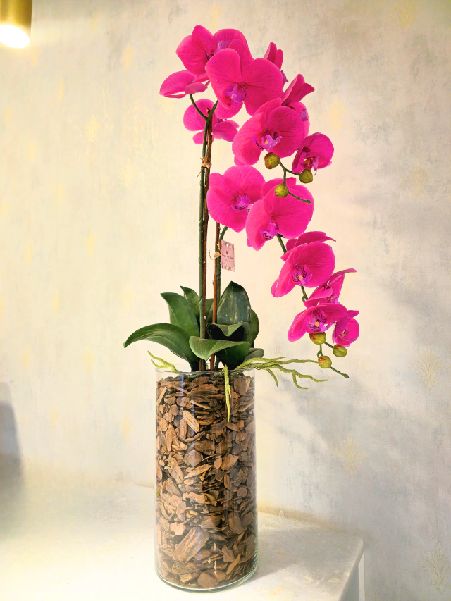 ARRANJO DE ORQUÍDEAS ATHENA (ROSA PINK) 1