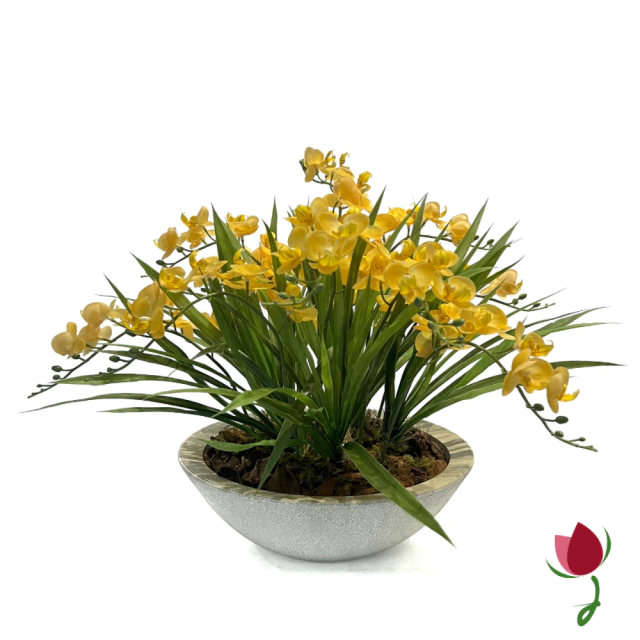 ORQUIDEAS BALI G AMARELAS | VASO CINZA 1