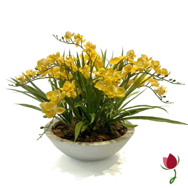 ORQUIDEAS BALI G AMARELAS | VASO CINZA 3