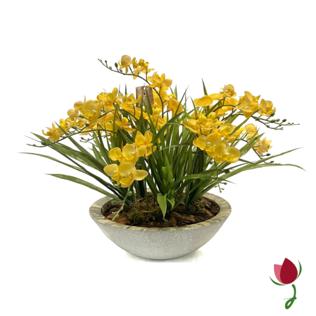 ORQUIDEAS BALI G AMARELAS | VASO CINZA 5