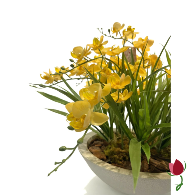 ORQUIDEAS BALI G AMARELAS | VASO CINZA 6