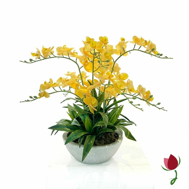 ORQUIDEAS BALI M AMARELAS | VASO BRANCO MÁRMORE 1