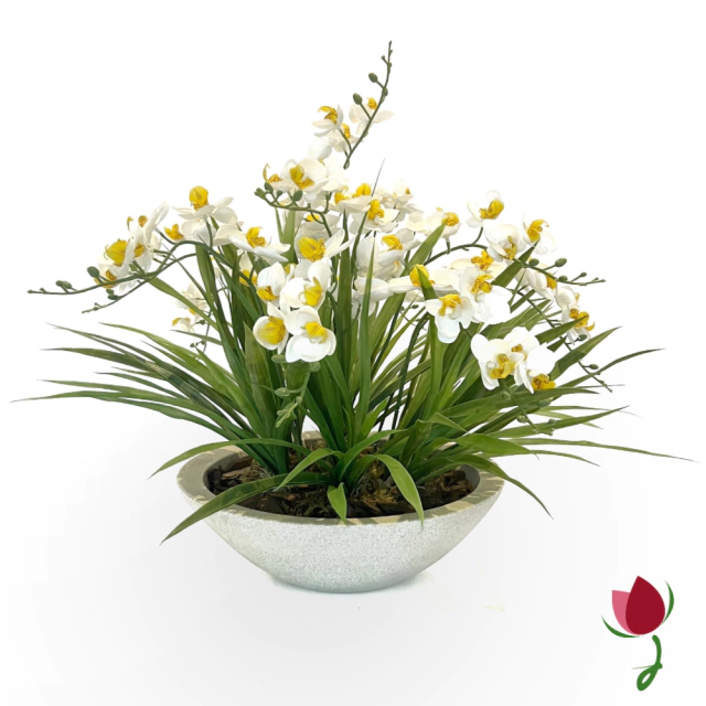 ORQUIDEAS BALI G BRANCAS | VASO BRANCO MÁRMORE 1