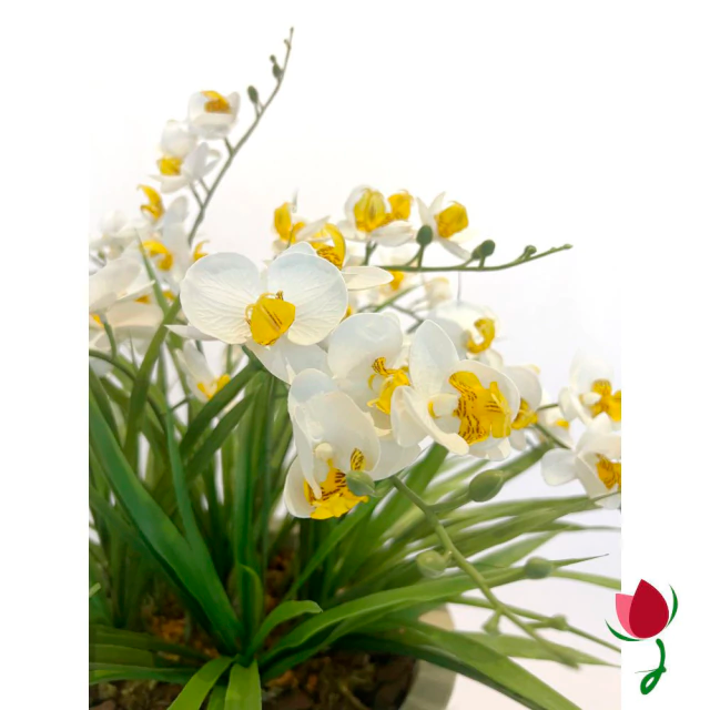 ORQUIDEAS BALI G BRANCAS | VASO BRANCO MÁRMORE 2