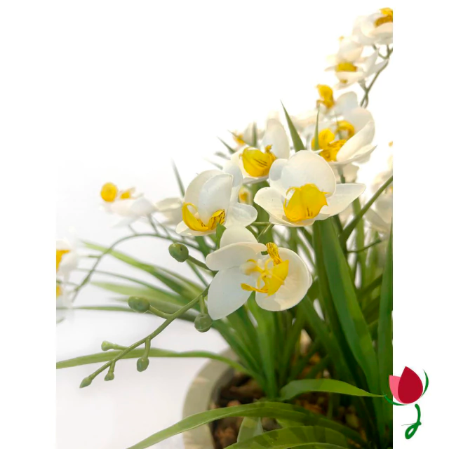 ORQUIDEAS BALI G BRANCAS | VASO BRANCO MÁRMORE 3