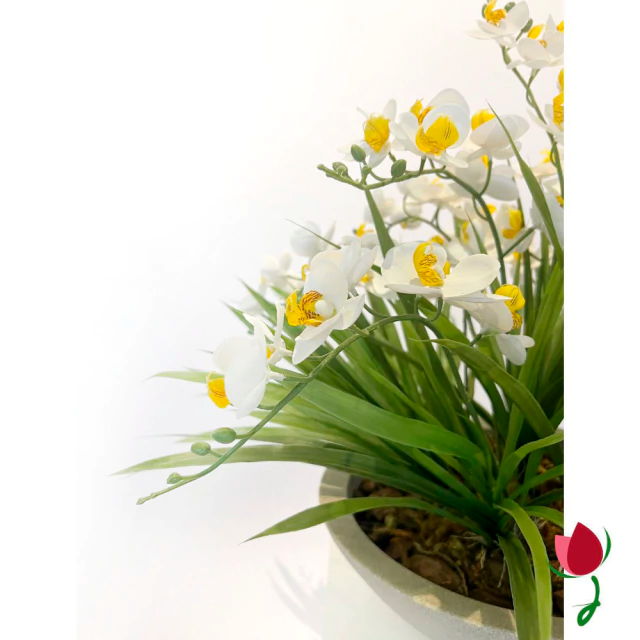 ORQUIDEAS BALI G BRANCAS | VASO BRANCO MÁRMORE 4