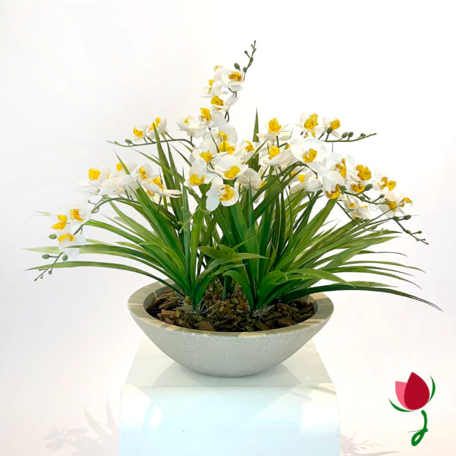 ORQUIDEAS BALI G BRANCAS | VASO BRANCO MÁRMORE 5