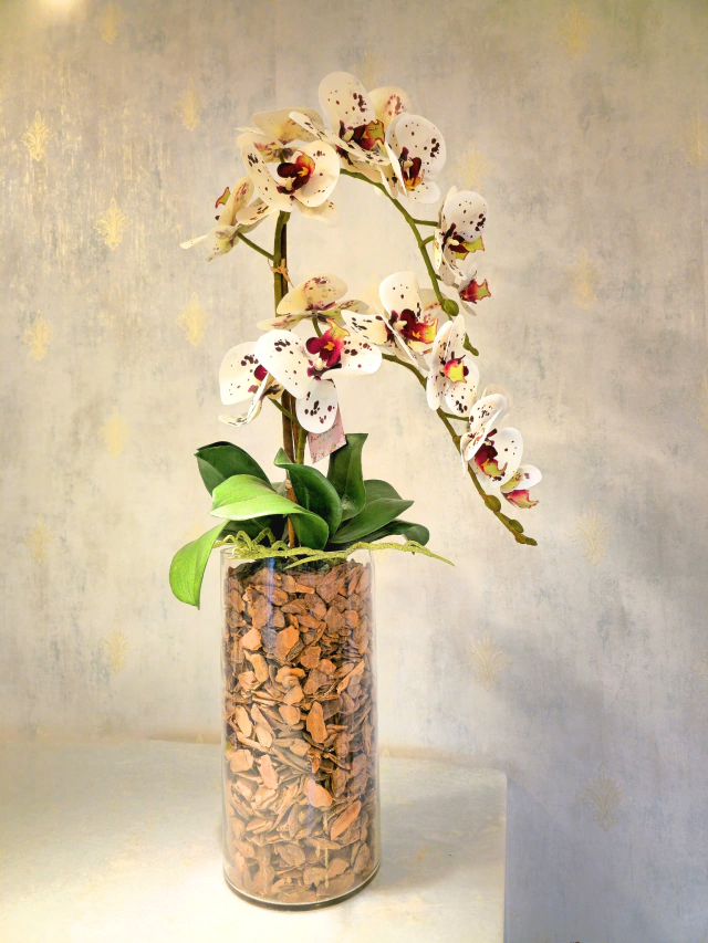 ARRANJO DE ORQUÍDEAS ATHENA (ROSA TIGRE) 1