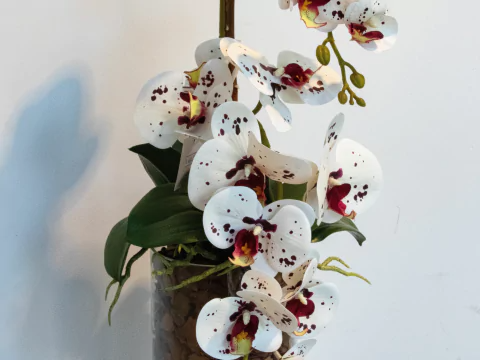 ARRANJO DE ORQUÍDEAS ATHENA (ROSA TIGRE) 2