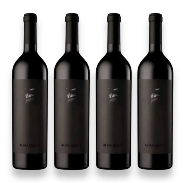  Kit 4 Vinhos Alma Negra 1