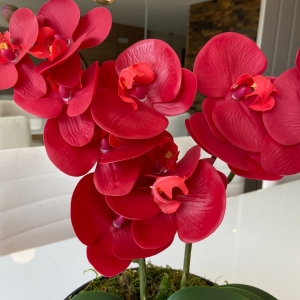 ARRANJO DE ORQUÍDEA VERMELHA COM VASO DE CERÂMICA PRETO CLARA 2