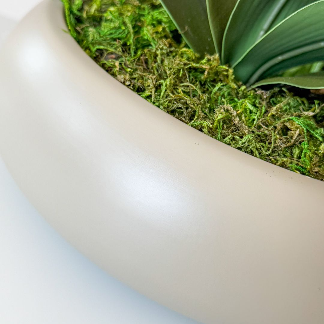 ARRANJO DE ORQUÍDEA BRANCA IASMIN 6 HASTES COM VASO DE CERÂMICA FENDI CLARA 3