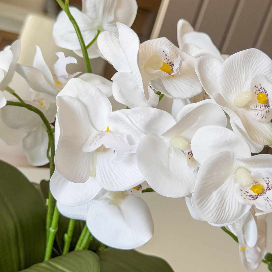 ARRANJO DE ORQUÍDEA BRANCA IASMIN 6 HASTES COM VASO DE CERÂMICA FENDI CLARA 2