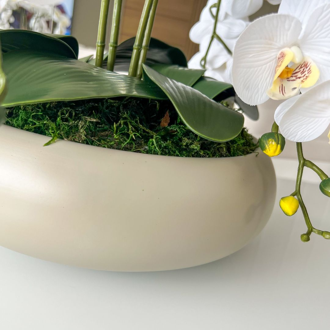 ARRANJO DE ORQUÍDEA BRANCA COM VASO DE CERÂMICA FENDI CLARA 3