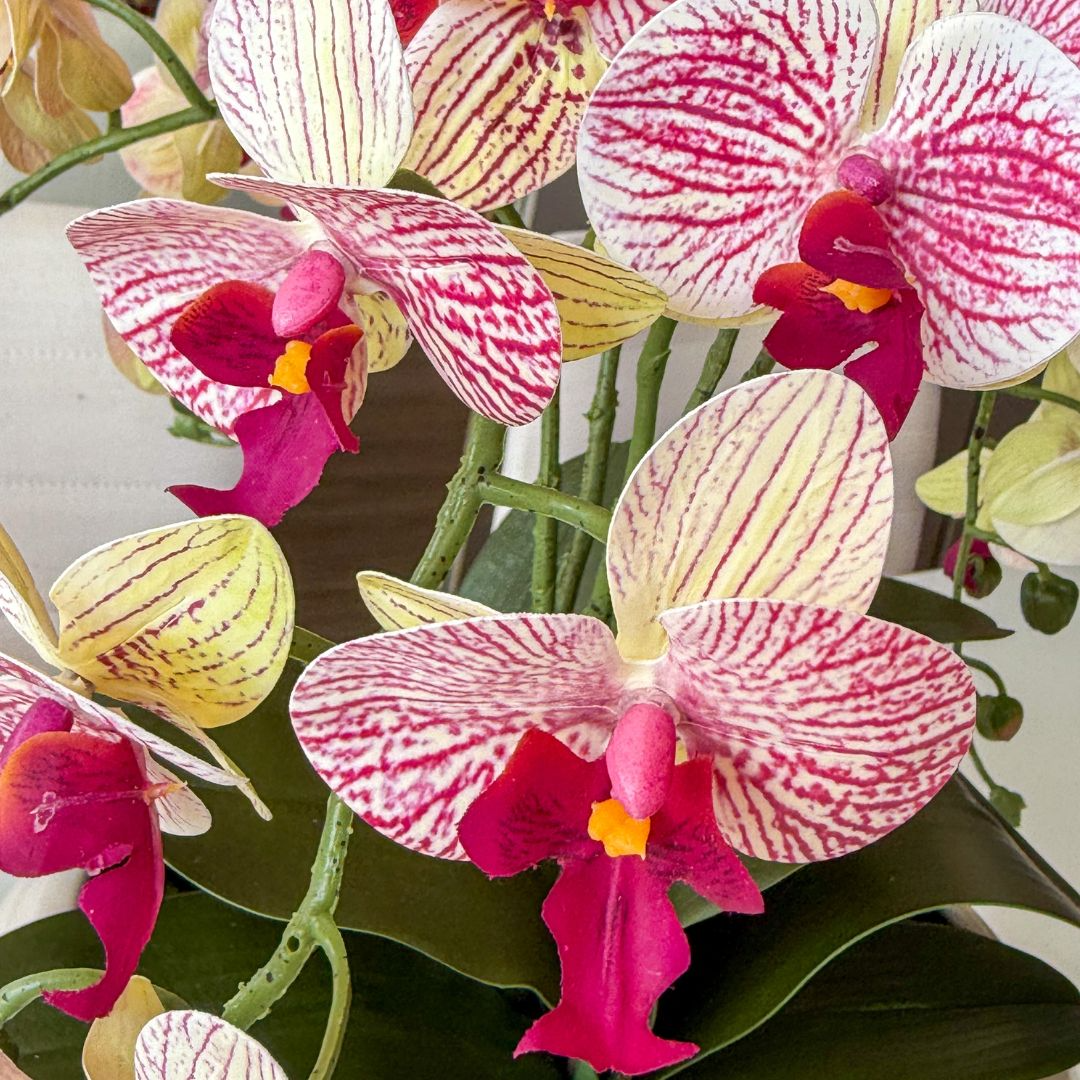 ARRANJO DE ORQUÍDEA ROSA MISTA LÍVIA COM VASO DE CERÂMICA BRANCO CLARA 3