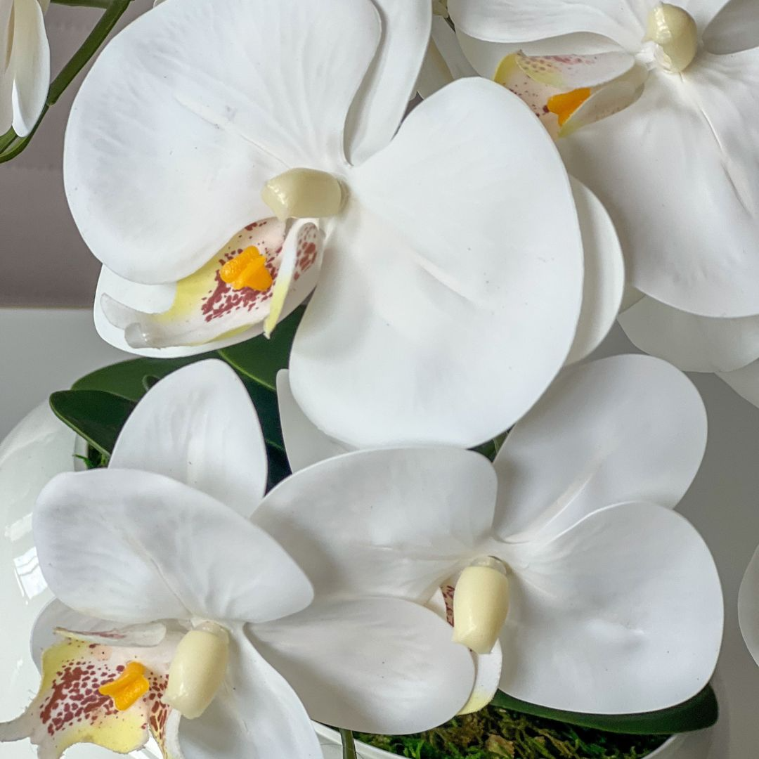 ARRANJO DE ORQUÍDEA BRANCA KATIA COM VASO DE VIDRO BRANCO FERNANDA 22 CM  2