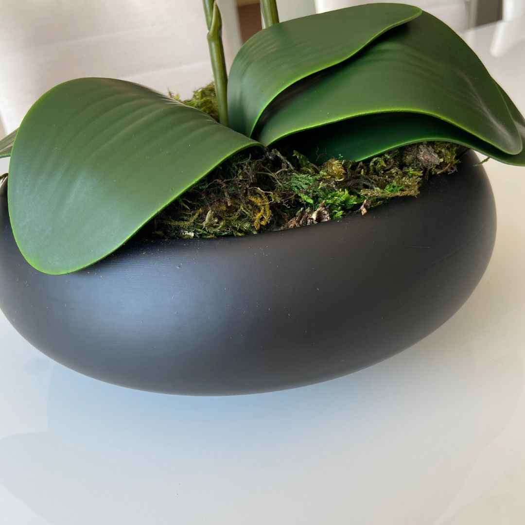 ARRANJO DE ORQUÍDEA MISTA COM VASO DE CERÂMICA PRETO CLARA 3