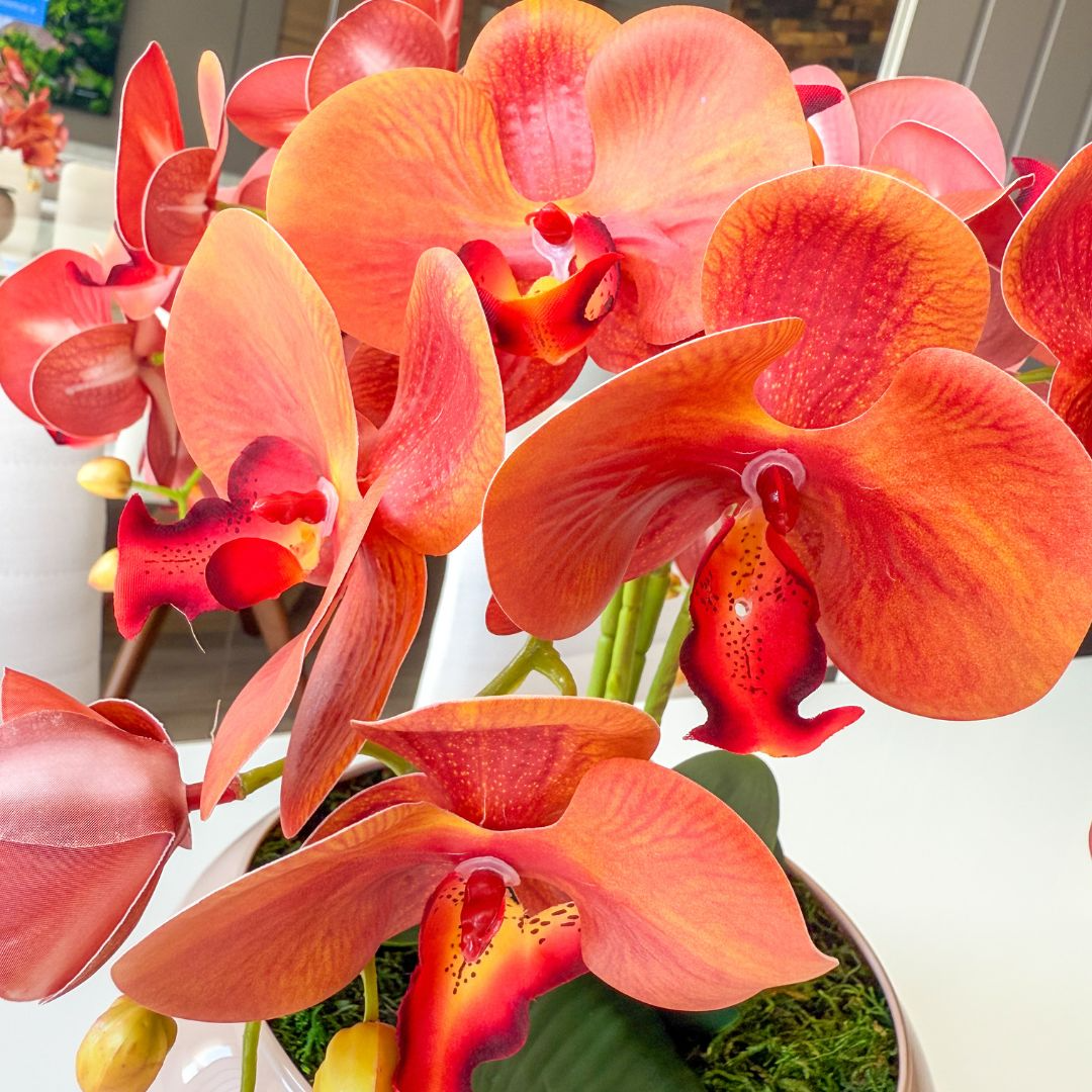 ARRANJO DE ORQUÍDEA LARANJA COM VASO DE VIDRO FENDI FERNANDA 22 CM 2