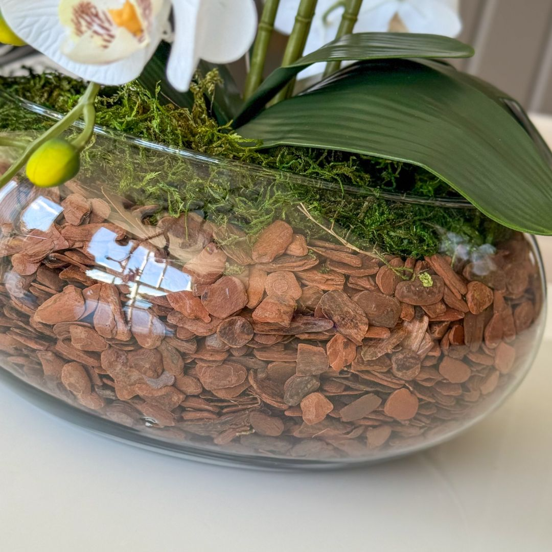 ARRANJO DE ORQUÍDEA BRANCA COM VASO DE VIDRO INCOLOR BEATRIZ 3