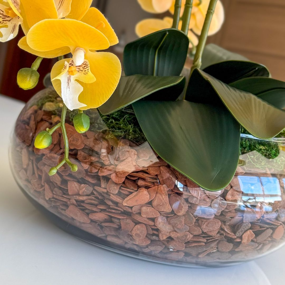 ARRANJO DE ORQUÍDEA AMARELA COM VASO DE VIDRO INCOLOR BEATRIZ 4