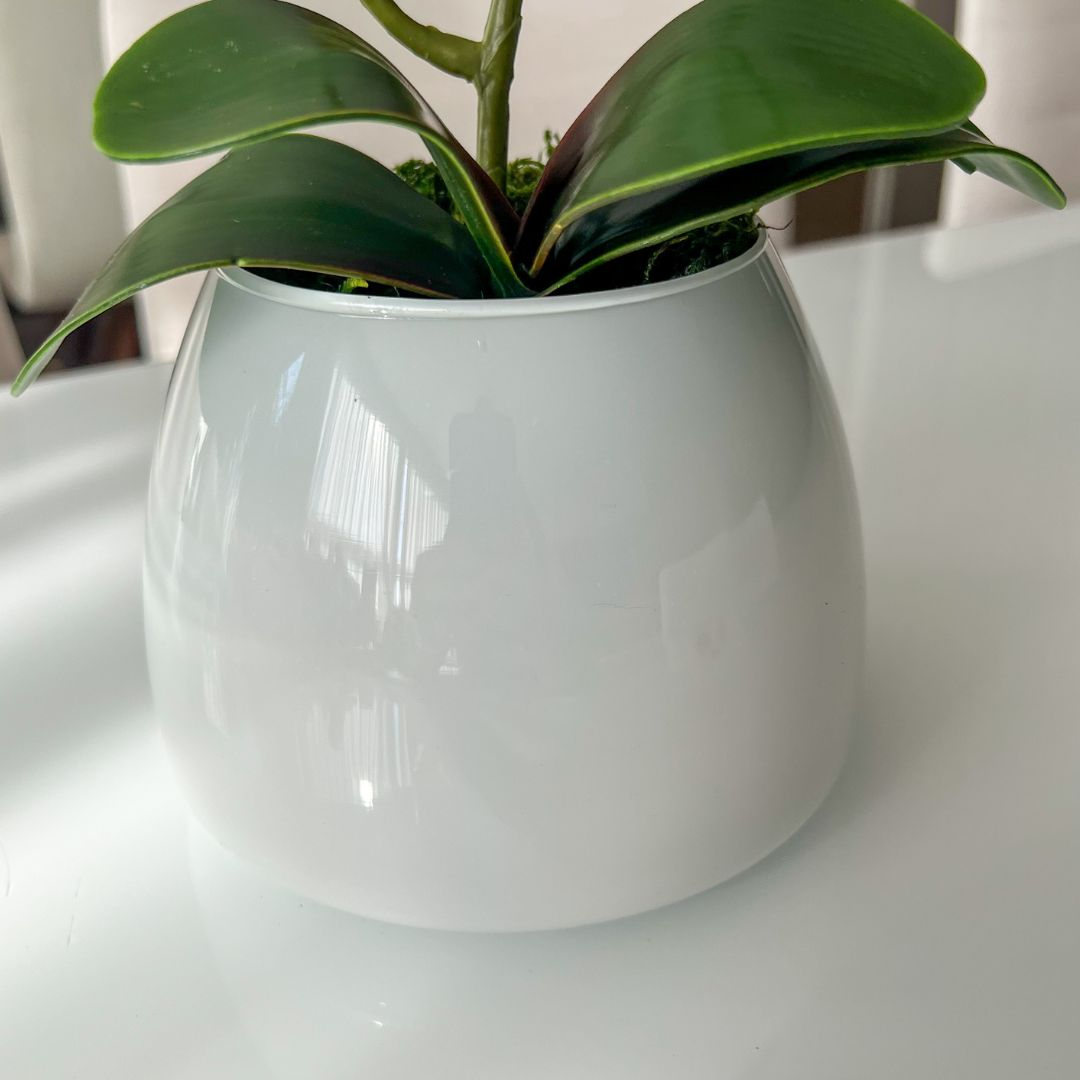 ARRANJO DE ORQUÍDEA BRANCA VASO DE VIDRO BRANCO CAROL 3