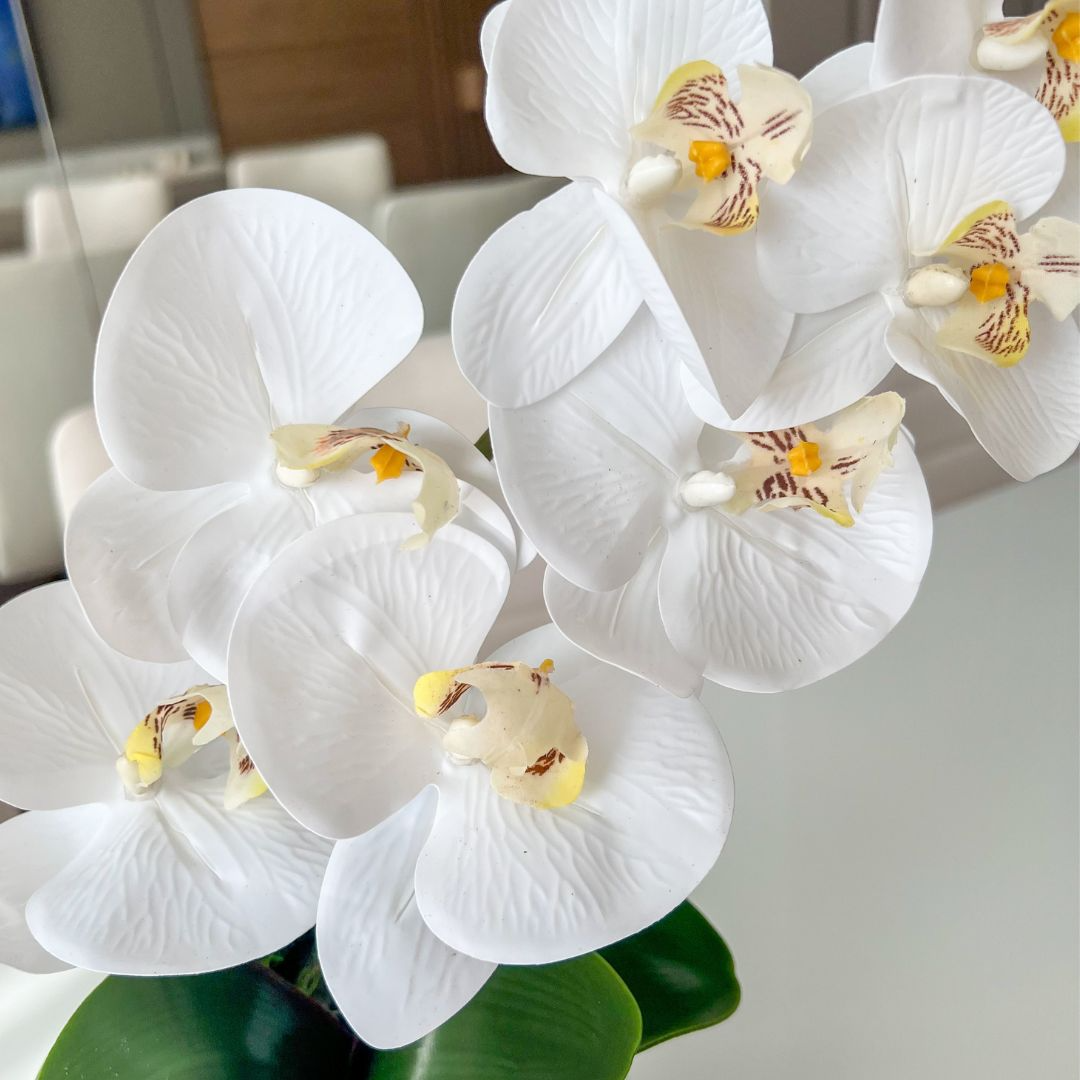 ARRANJO DE ORQUÍDEA BRANCA VASO DE VIDRO BRANCO CAROL 2