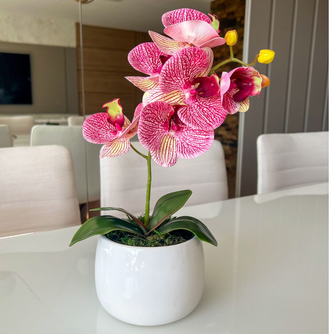 ARRANJO DE ORQUÍDEA MISTA ROSA VASO DE CERÂMICA BRANCO JORDANO 1