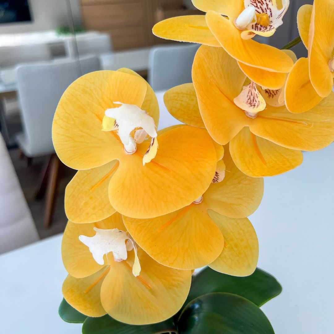 ARRANJO DE ORQUÍDEA AMARELA VASO DE CERÂMICA BRANCO DAVID 2
