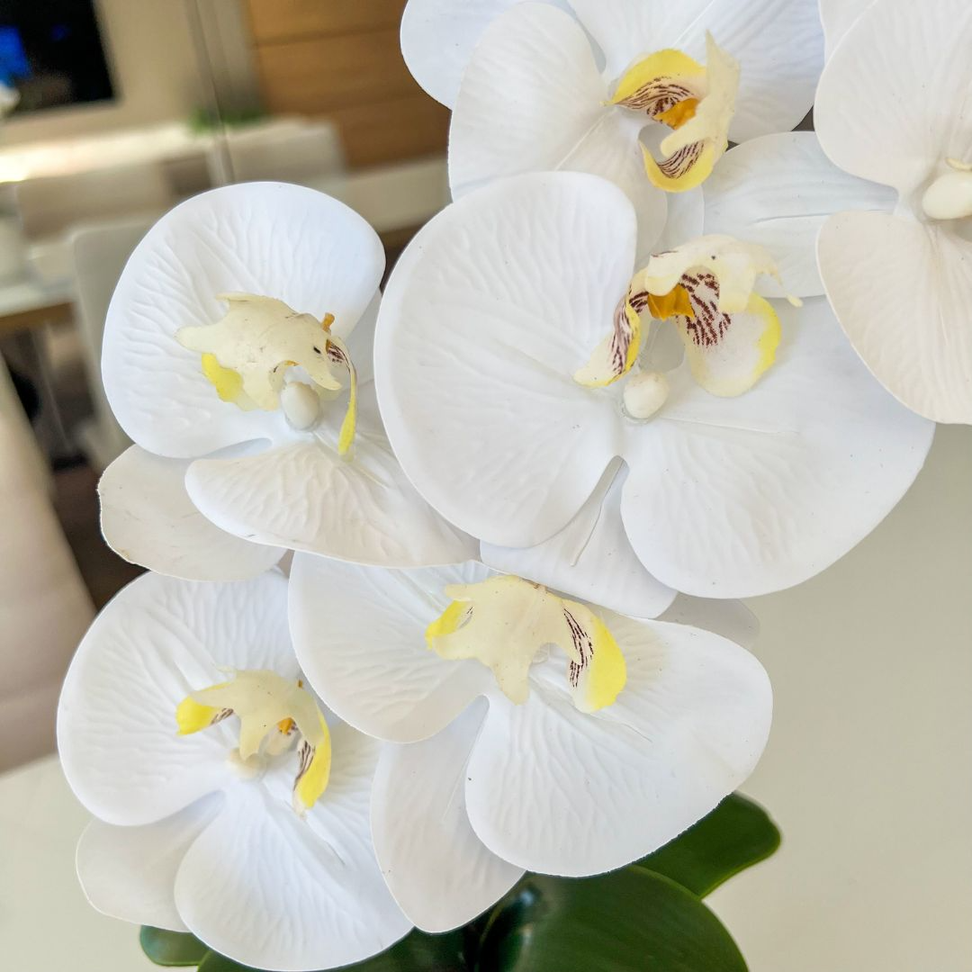 ARRANJO DE ORQUÍDEA BRANCA VASO DE CERÂMICA BRANCO DAVID 2
