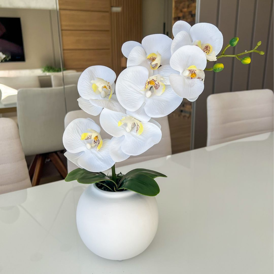 ARRANJO DE ORQUÍDEA BRANCA VASO DE CERÂMICA BRANCO DAVID 1