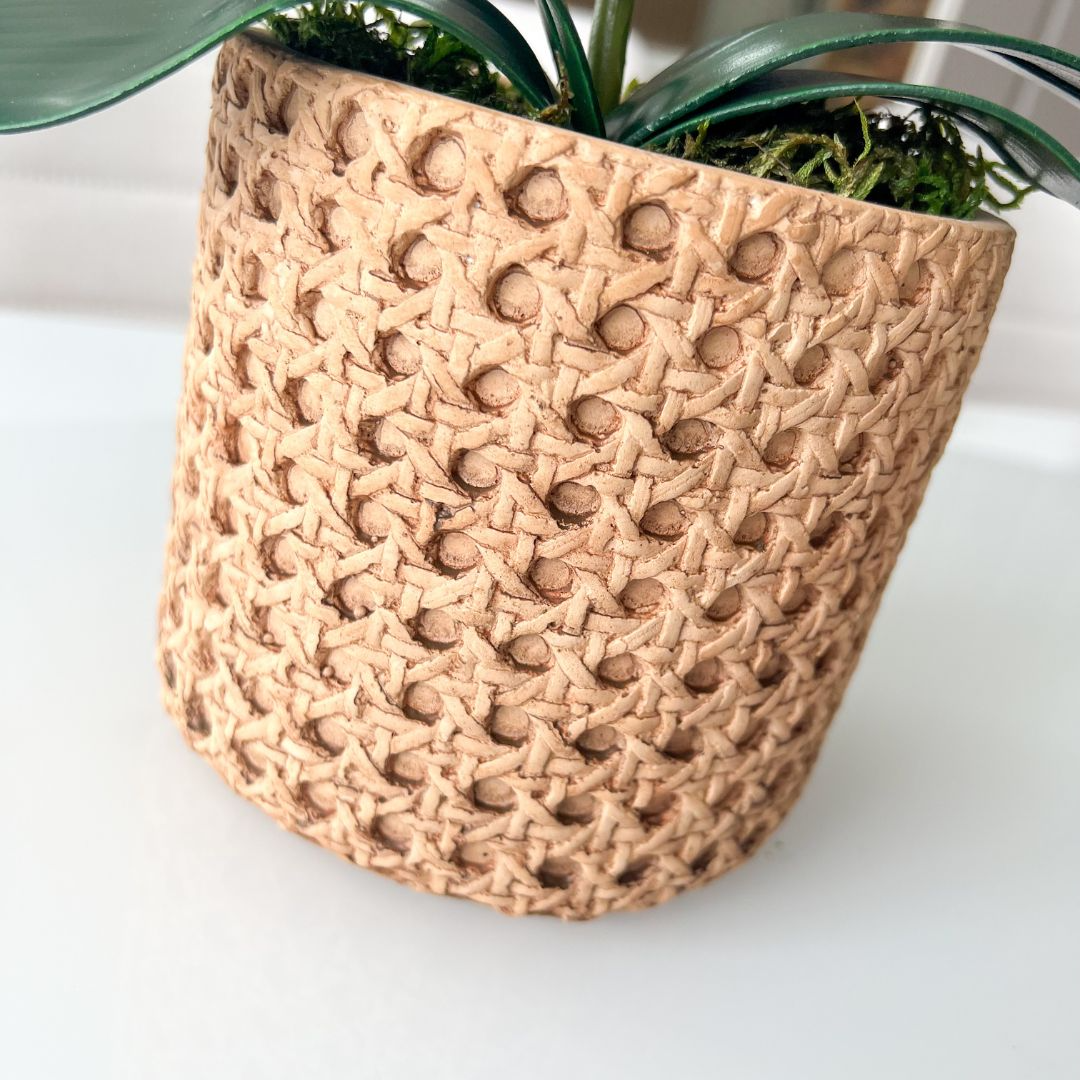 ARRANJO DE ORQUÍDEA MISTA VASO DE CIMENTO NOAH 3