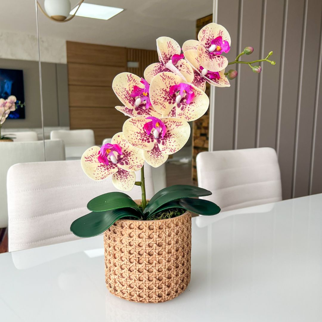 ARRANJO DE ORQUÍDEA MISTA VASO DE CIMENTO NOAH 1