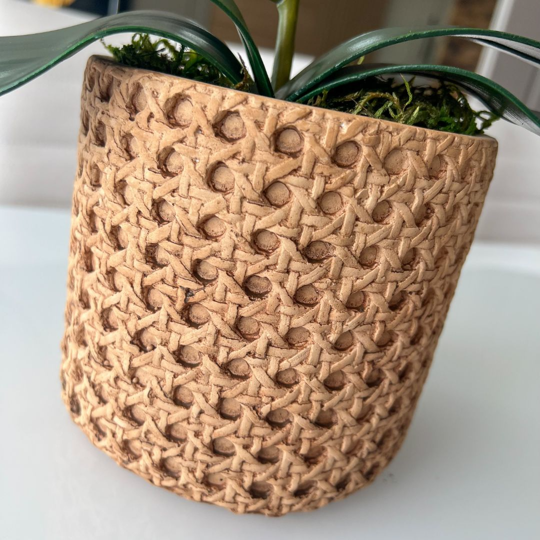 ARRANJO DE ORQUÍDEA ROSA VASO DE CIMENTO NOAH 3