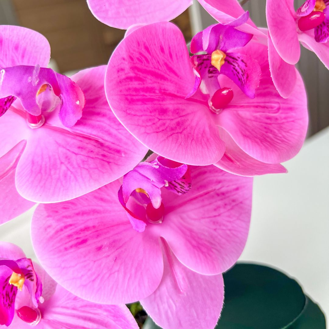 ARRANJO DE ORQUÍDEA ROSA VASO DE CIMENTO NOAH 2