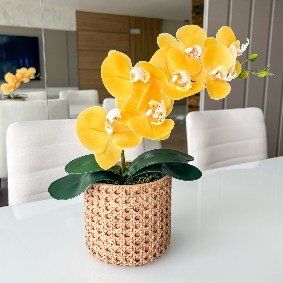 ARRANJO DE ORQUÍDEA AMARELA VASO DE CIMENTO NOAH 1