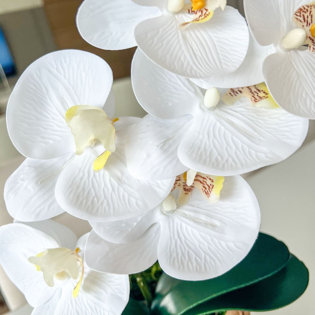 ARRANJO DE ORQUÍDEA BRANCA VASO DE CIMENTO NOAH 2