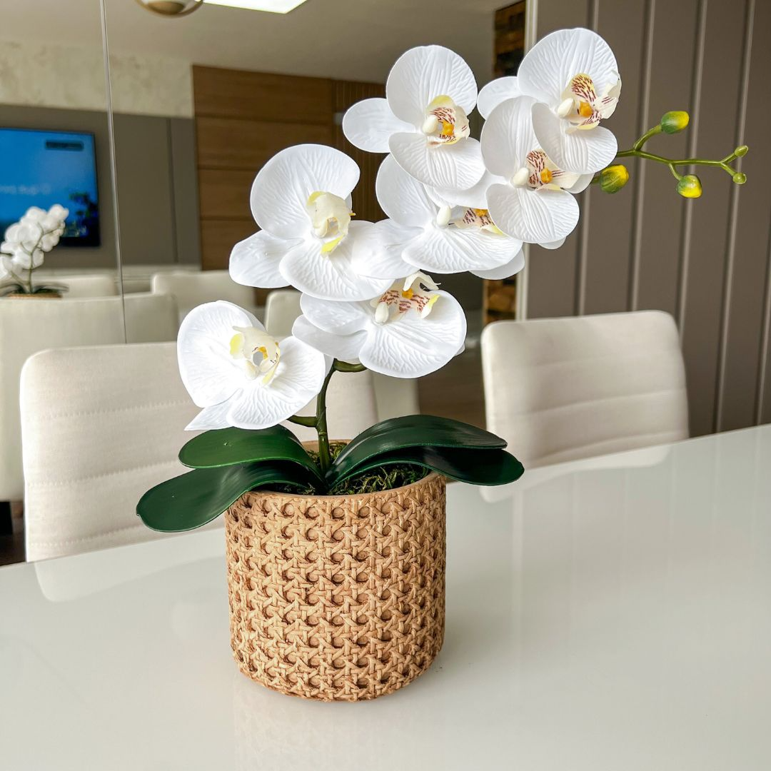 ARRANJO DE ORQUÍDEA BRANCA VASO DE CIMENTO NOAH 1