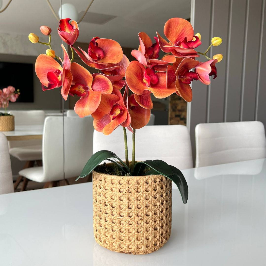 ARRANJO DE ORQUÍDEA LARANJAS VASO DE CIMENTO NOAH 1