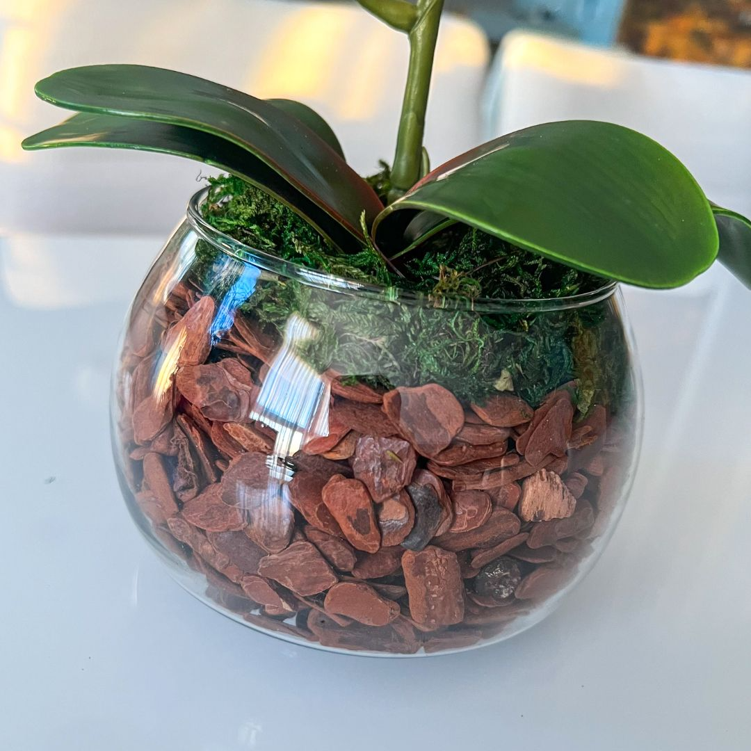 ARRANJO DE ORQUÍDEA AMARELA VASO DE VIDRO INCOLOR LUIS 3
