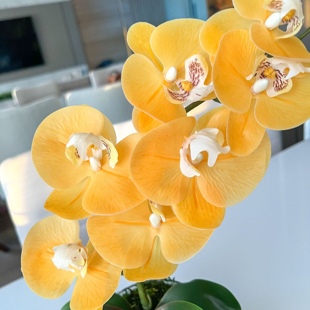ARRANJO DE ORQUÍDEA AMARELA VASO DE VIDRO INCOLOR LUIS 2