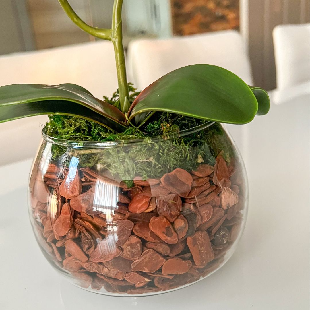 ARRANJO DE ORQUÍDEA BRANCA VASO DE VIDRO INCOLOR LUIS 3